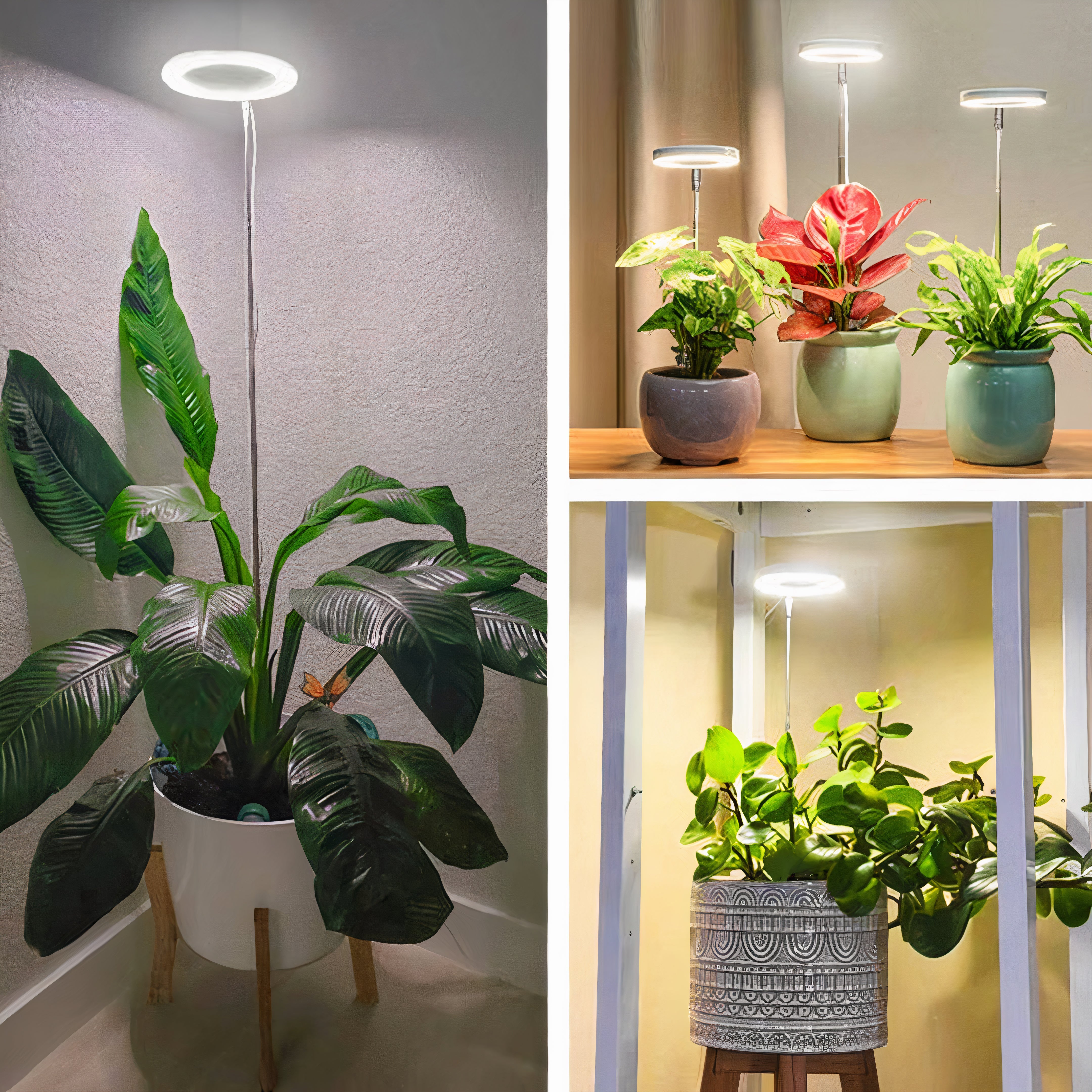 Full Spectrum Plant Grow Light | Dimmable LED, Built-In Timer