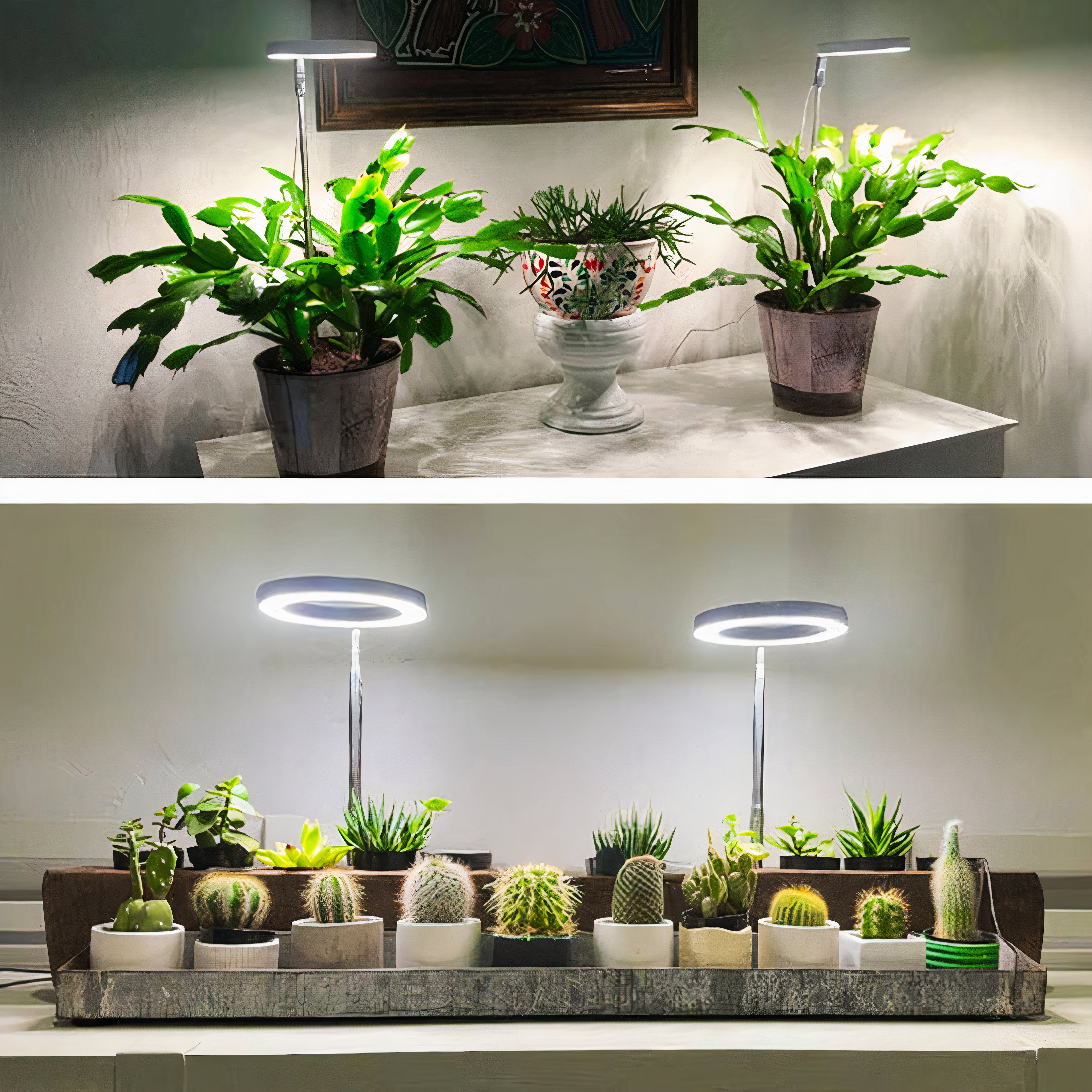 Full Spectrum Plant Grow Light | Dimmable LED, Built-In Timer