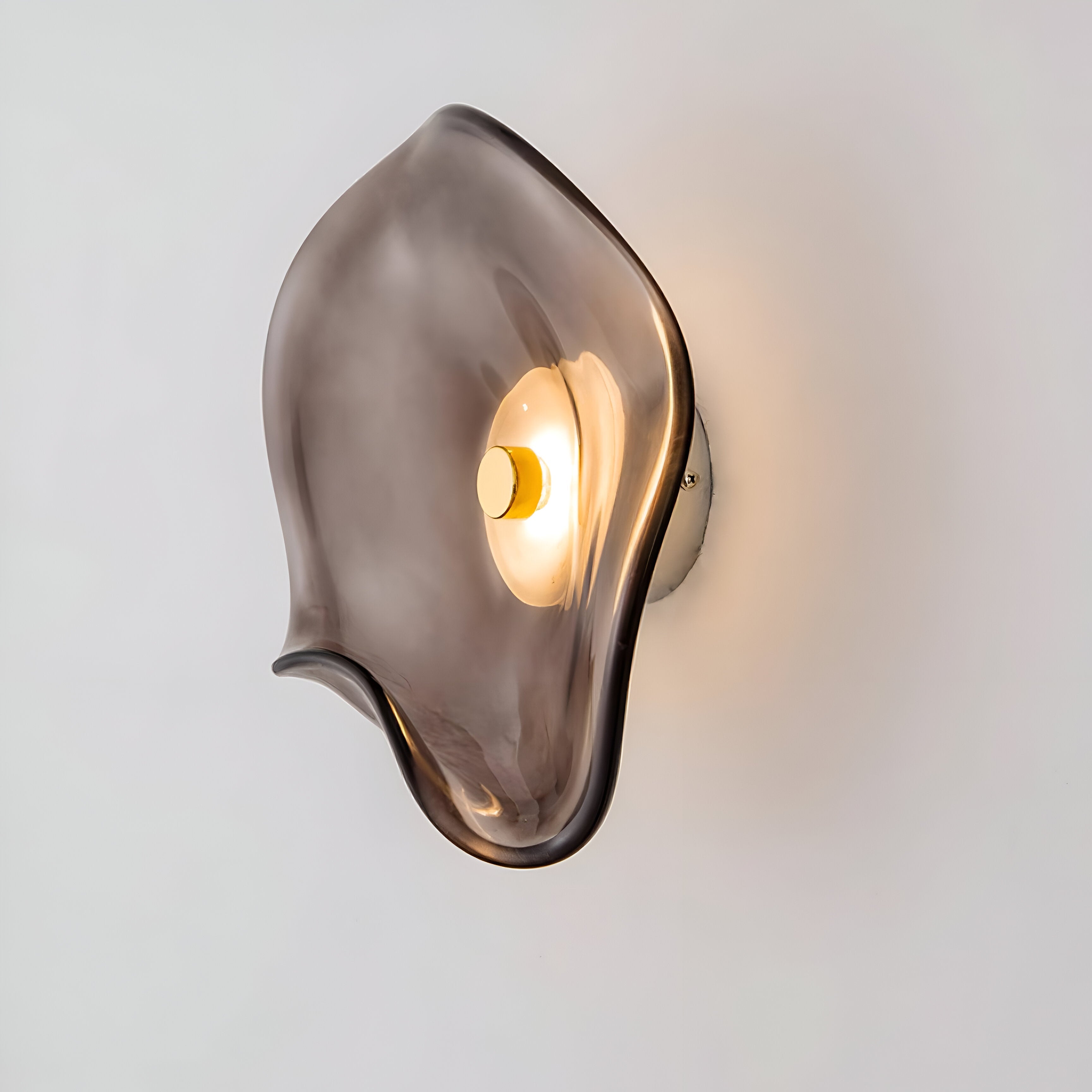 Curved Glass LED Wall Light | Japandi Style, Warm White