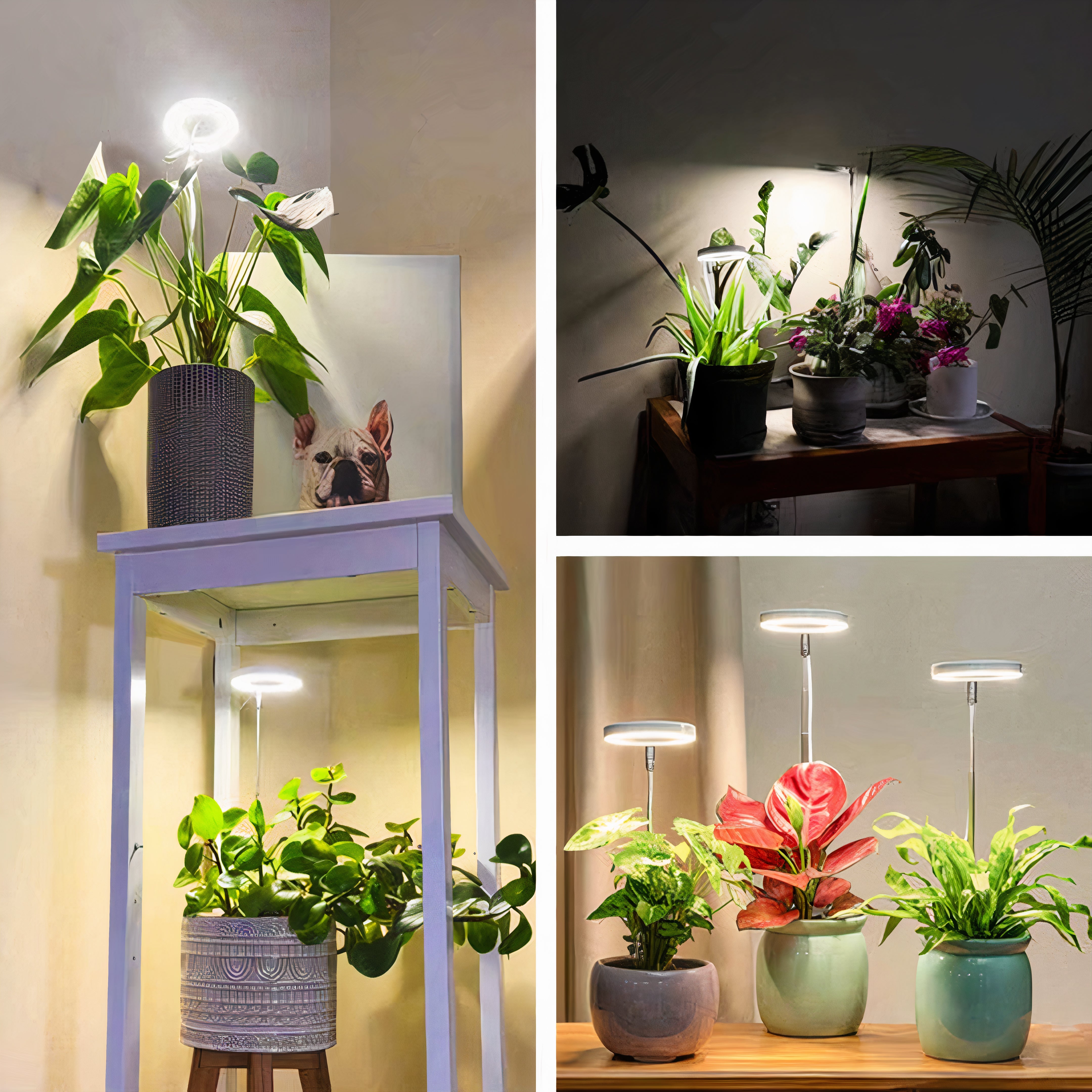 Full Spectrum Plant Grow Light | Dimmable LED, Built-In Timer