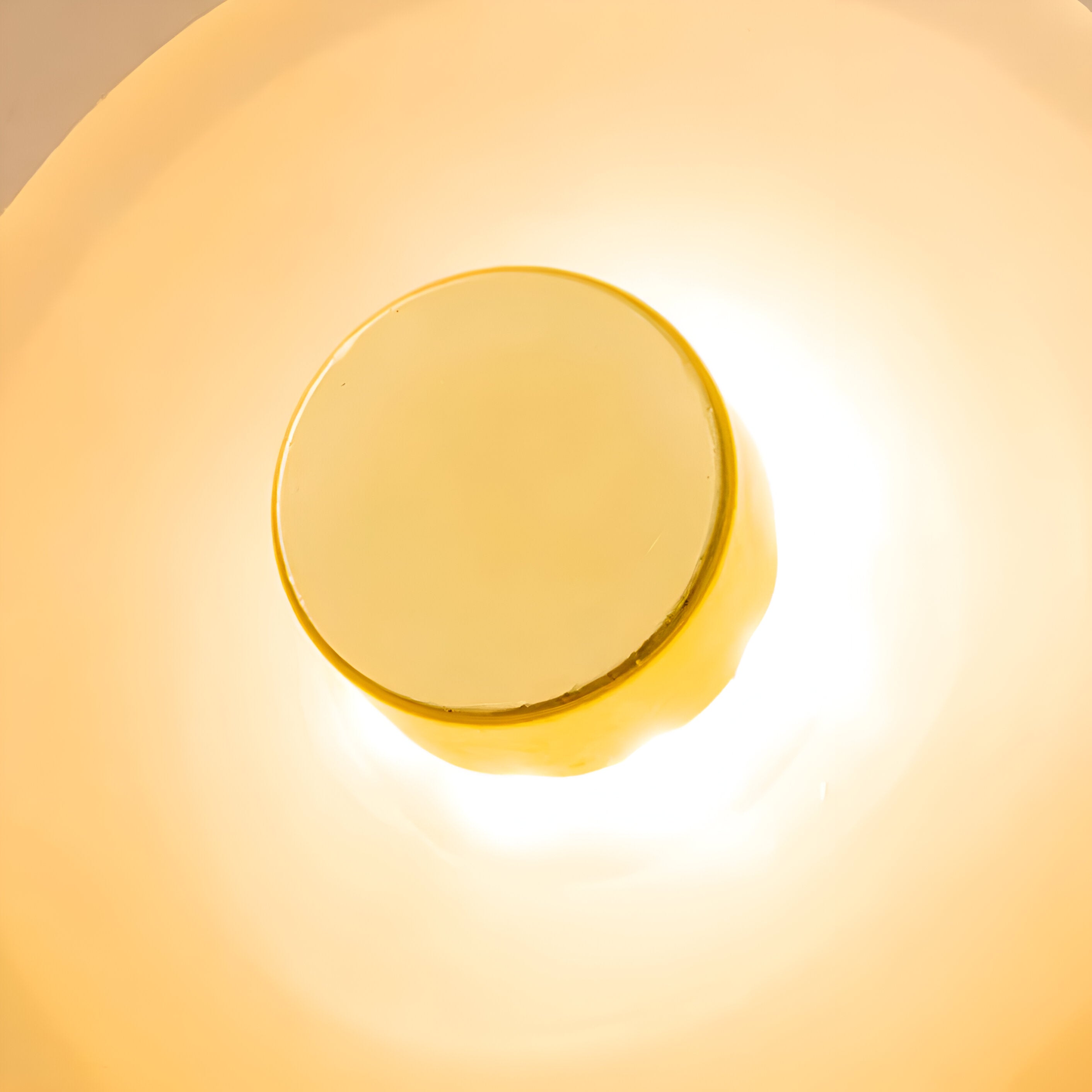 Curved Glass LED Wall Light | Japandi Style, Warm White