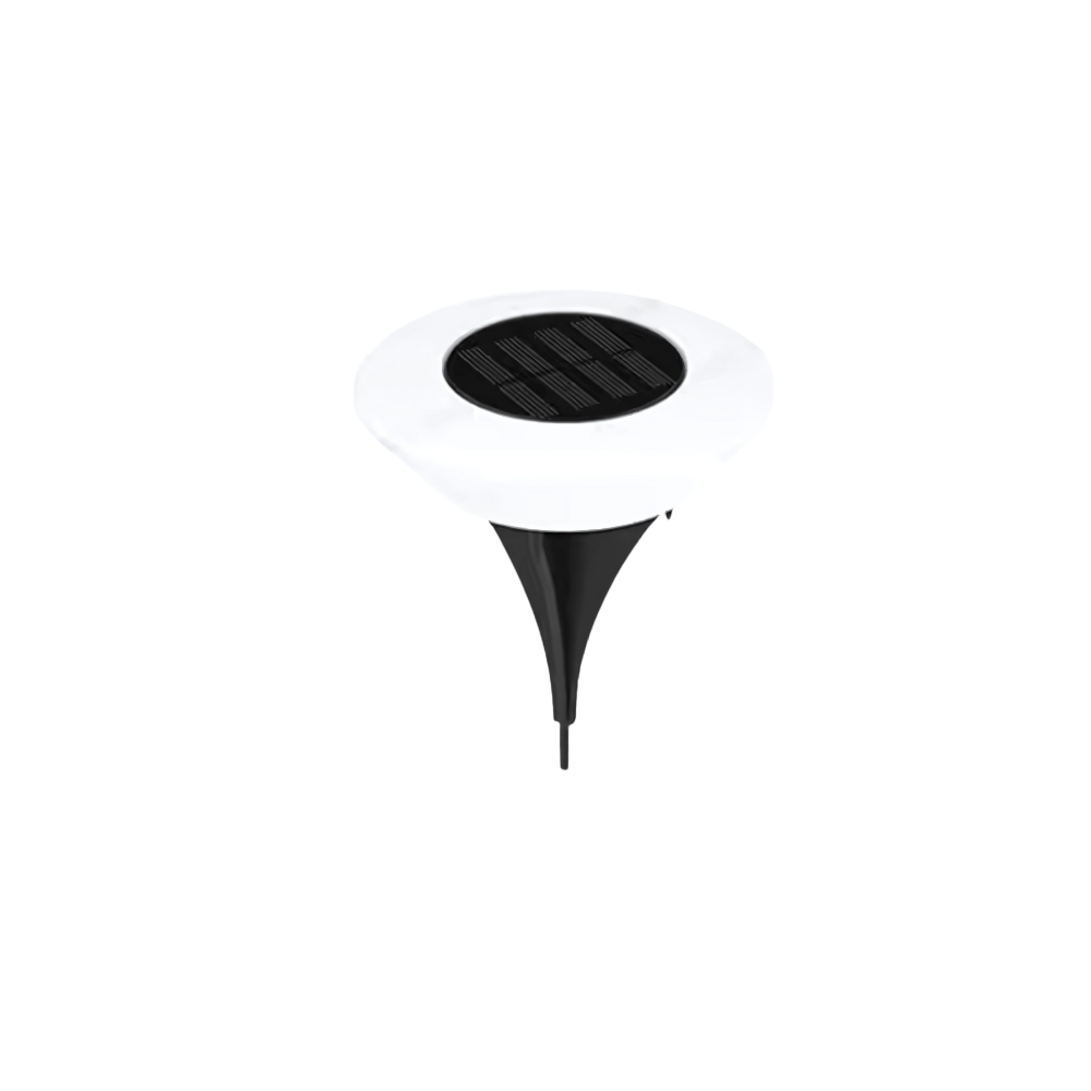Solar Pathway Lights | Set of 2, IP65 Weatherproof